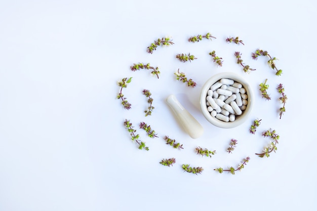 Kräutermedizin-Kapselpillen mit Blume des süßen Basilikums