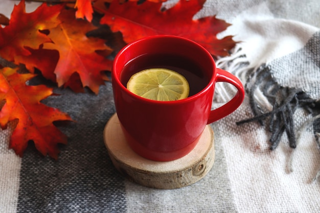 Kräutertee in roter Tasse mit Zitrone auf warmer Decke mit roten Eichenblättern.