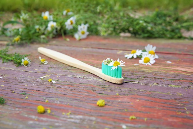Kräuterzahnpasta mit Kamille auf einem alten hölzernen Hintergrund Selektiver Fokus auf Blumen und eine Zahnbürste