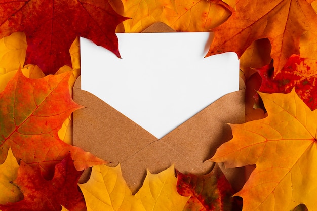 Kraftumschlag mit einem weißen Blatt Papier auf hellem Ahornblatt Draufsicht Herbst gemütlicher Hintergrund