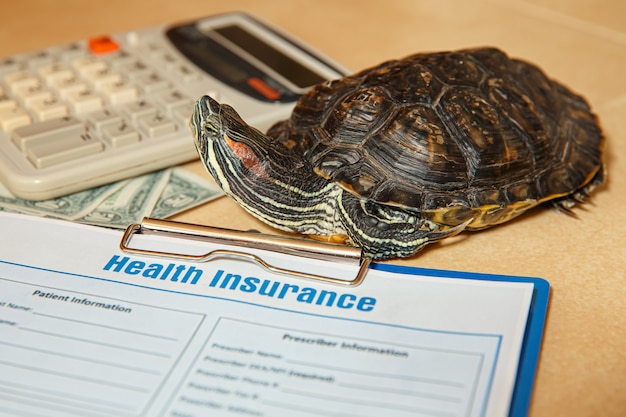 Krankenversicherung mit Versicherungsanspruch und Redeared Turtle Krankenversicherungskonzept