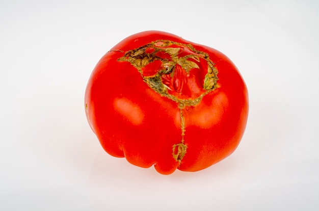 Krankheiten von Tomaten, Topfäule an Früchten.