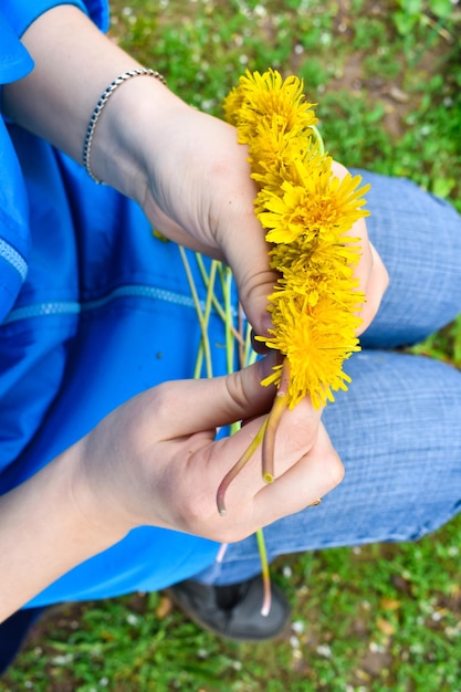 Kranz aus Löwenzahn weben weibliche Hände Gelber Löwenzahn Blumenkranz