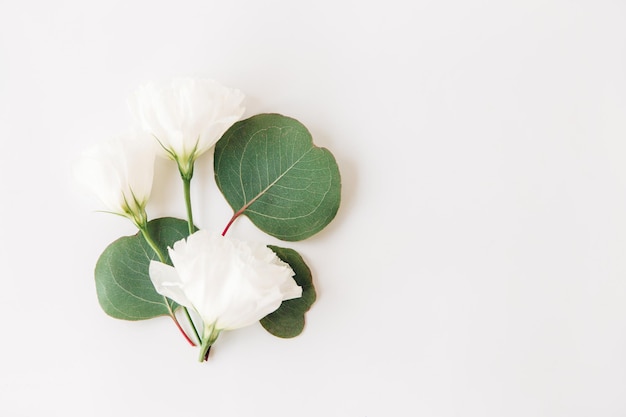 Kreative Komposition aus weißen Blumen. Flacher Blumenhintergrund. Minimalistischer Stil