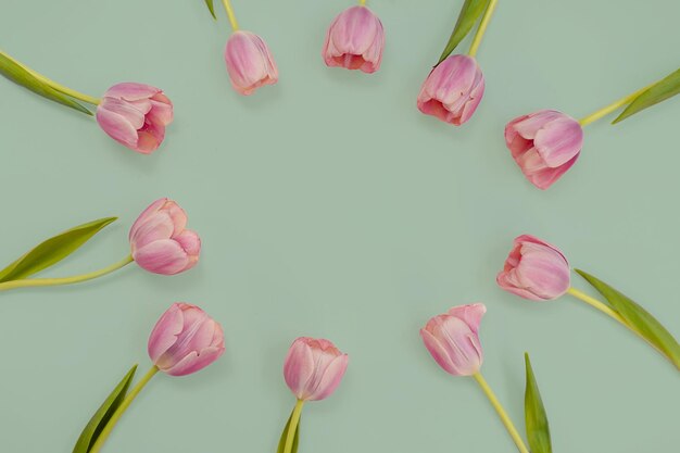 Kreative Mockup-Kreis-Komposition aus rosafarbenen Tulpenblüten mit grünen Blättern und Stängeln auf grünem Hintergrund mit Kopierraum für Text Frühlings- oder Sommerblührahmen Ansicht von oben