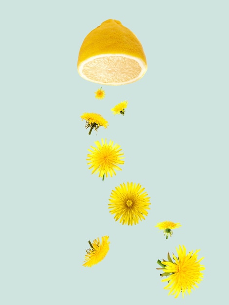 Kreative Sommeridee aus Zitrone und gelbem Löwenzahn auf pastellblauem Hintergrund.
