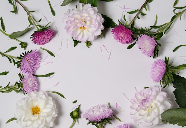 Kreativer Hintergrund mit Chrysanthemen- und Dahlienblumen. Blumenrand flach legen Konzept