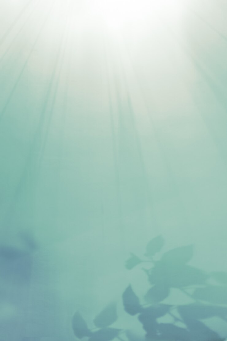 Kreativer unscharfer, defokussierter türkisfarbener Wandhintergrund mit hellem Lichtfleck oben und Schatten der Hauptpflanze unten. Kopieren Sie Platz für Text.