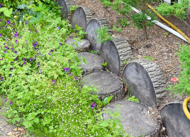 Kreatives Design eines Holzstegs aus einem in Kreise geschnittenen Baumstamm Gartendekoration