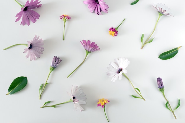 Kreatives Frühlingslayout aus bunten Blumen und Blättern auf weißem Hintergrund