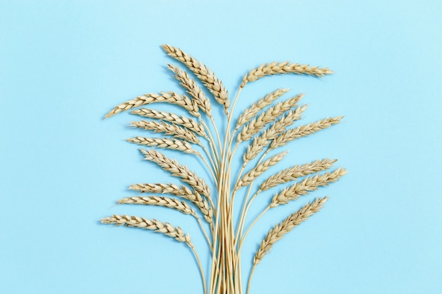 Kreatives Konzept der reichen Ernte mit Weizenspitzen