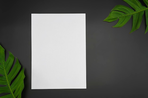 Kreatives Layout aus Blumen und Blättern mit Papierkarte auf schwarzem Hintergrund