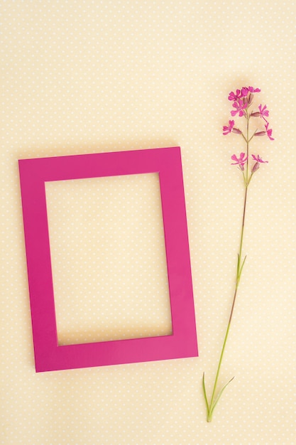 Kreatives Layout aus lila Rahmen und wilder Blume auf Papierkartennotiz.