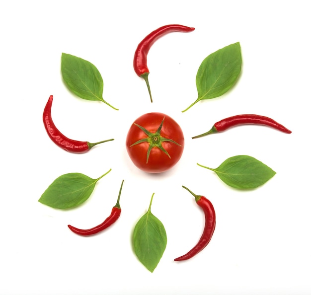 Kreisschmuck mit Bio-Lebensmitteln aus Tomaten, Chili und Basilikum