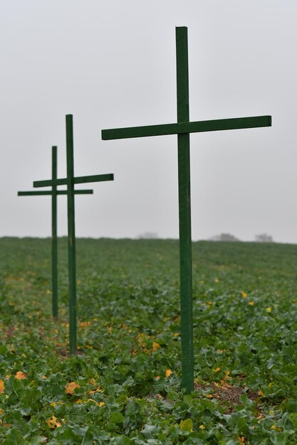 Foto kreuz auf dem feld