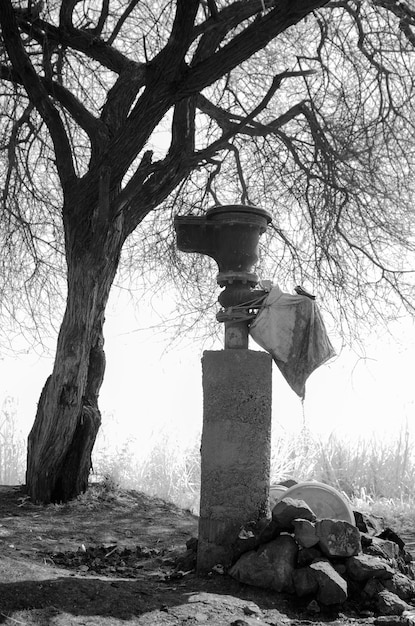 Foto kreuz auf dem friedhof