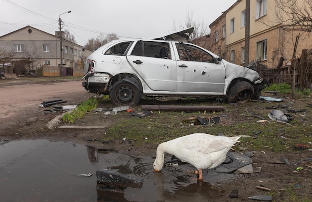 Krieg in der Ukraine Yahidne Dorf Gebiet Tschernihiw