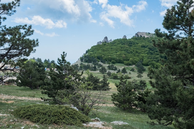 Krimkiefern vom Wind auf einem sonnigen Felsen gebogen In der Ferne Berge mit Wäldern bedeckt