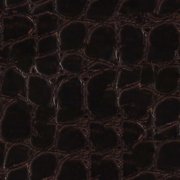 Krokodil dunkle Lederstruktur Nahtlose quadratische Hintergrundkachel bereit Foto mit extrem hoher Auflösung
