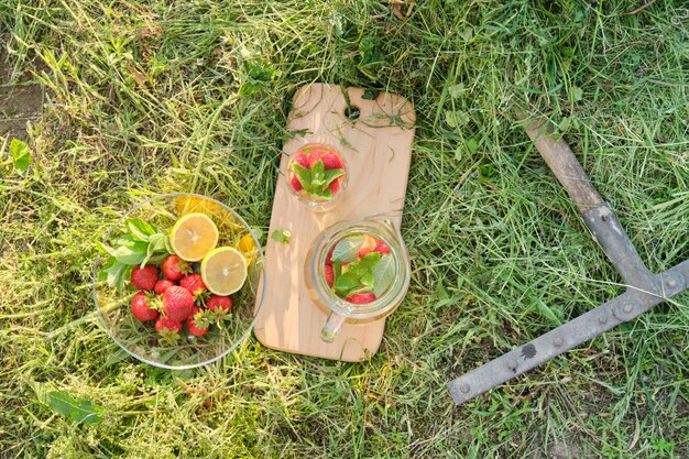 Krug und Glas Kräutertee mit Erdbeer-Minz-Zitrone auf dem Gras