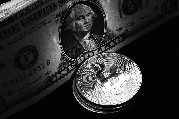 Kryptowährungskonzept. Entwicklung der Bitcoin-Wechselkurse. Aufstieg und Fall von Bitcoin.