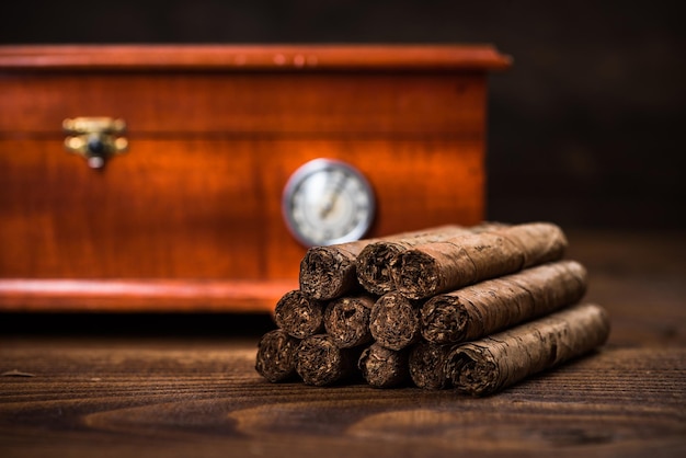 Kubanische Zigarren mit Humidor im Hintergrund