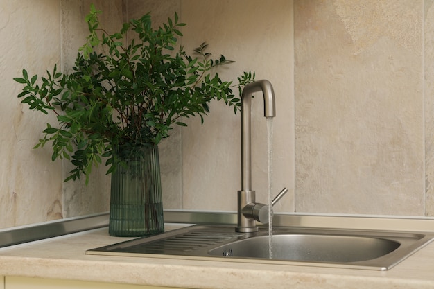 Küchenspüle mit Wasserhahn und Vase mit Pflanze