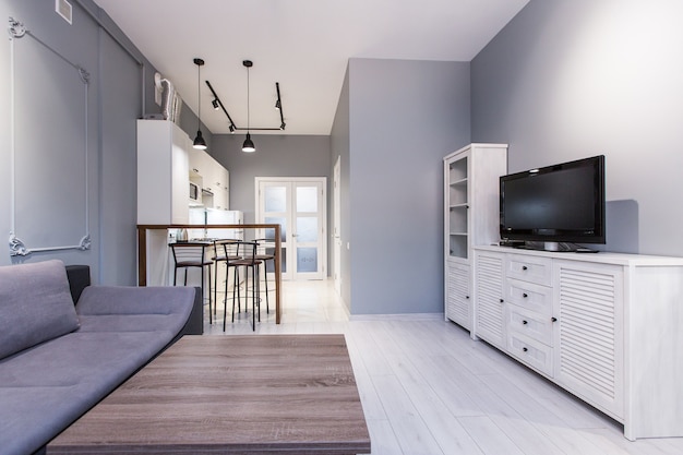 Küchenstudio mit Wohnzimmer im Loft-Stil, in weißen Farben