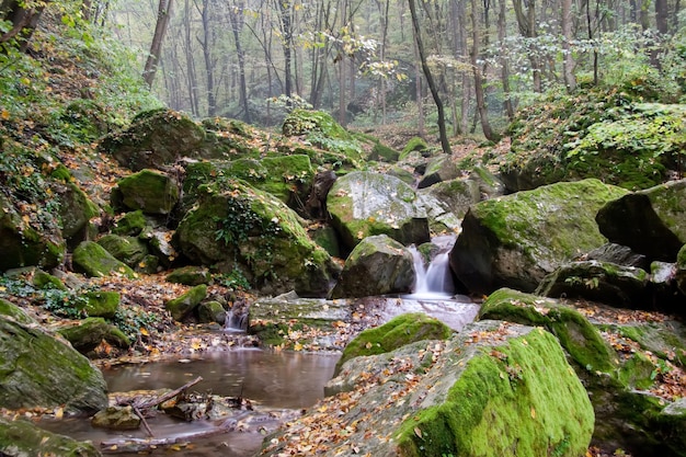 Kühles Wasser strömt herunter