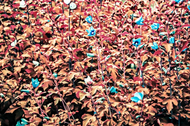 Foto künstlerische realistische illustration des getönten natürlichen blumenhintergrunddesigns mit schönen blumen