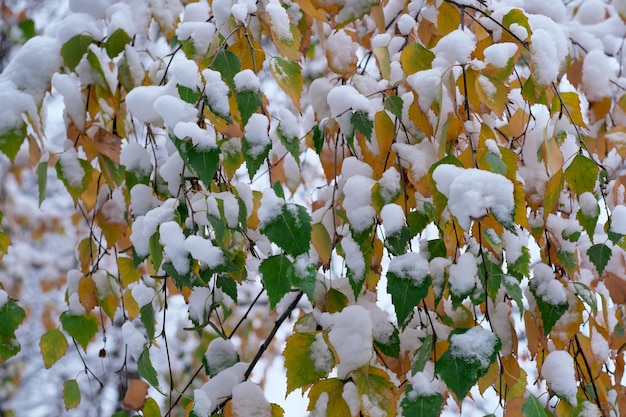 Künstlerischer Winterhintergrund