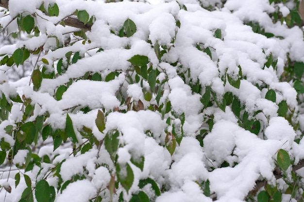 Künstlerischer Winterhintergrund