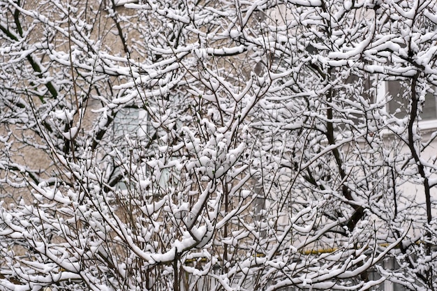 Künstlerischer Winterhintergrund