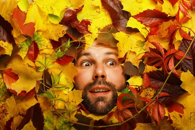 Künstlerisches konzeptionelles Herbstbart-Mannporträt. Bunte Blätter. Blätter von Bäumen um ein emotionales Gesicht. Der Herbst kommt.