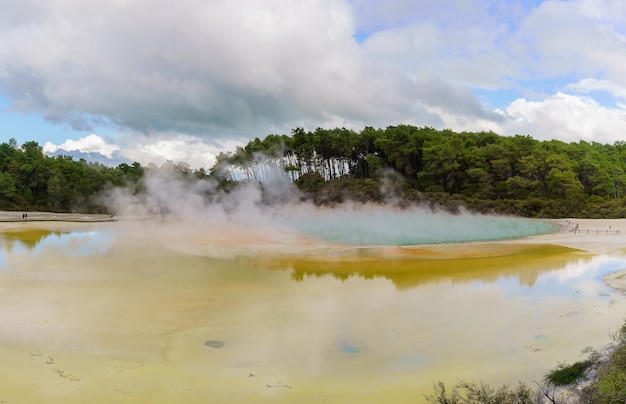 Künstlerpalettenpool im geothermischen Gebiet Wai-O-Tapu, Rotorua, Nordinsel von Neuseeland