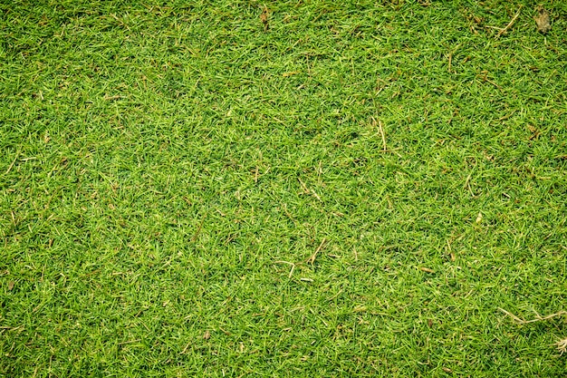 Künstliche grüne Grasbeschaffenheit kann als Hintergrund verwendet werden