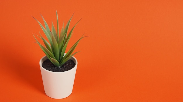 Künstliche Kaktuspflanzen oder Plastik- oder Kunstbaum auf orangem Hintergrund.