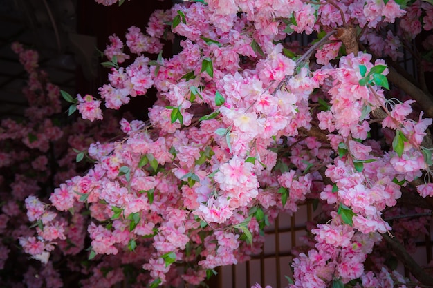 Künstliche Sakura-Blumen zur Dekoration im japanischen Stil. Frühlingsblüten-Hintergrund zum Gestalten oder Hinzufügen einer Textnachricht