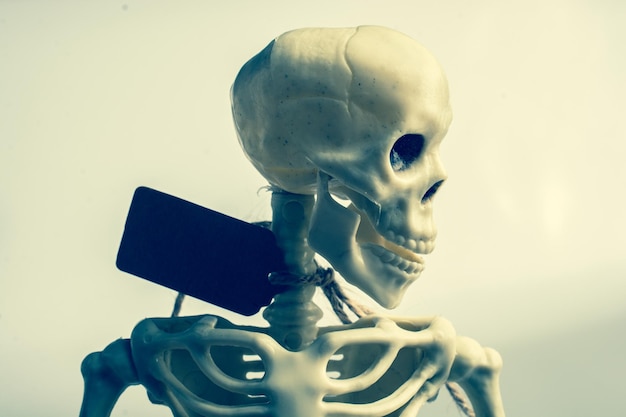 Künstliches menschliches Skelett mit einem Etikett am Hals
