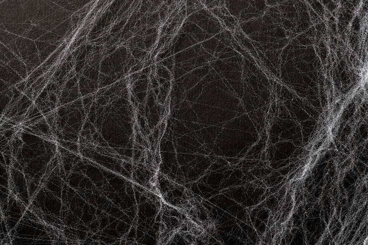 Künstliches Spinnennetz oder spaider Netz auf einem schwarzen Hintergrund. Abstrakter Hintergrund. Draufsicht, glückliches Halloween