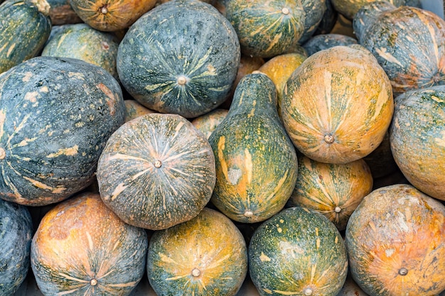 Kürbis auf dem Bauernmarkt. Viele verschiedene Kürbisse. Gelber und grüner Kürbis. Gesammelte Herbsternte