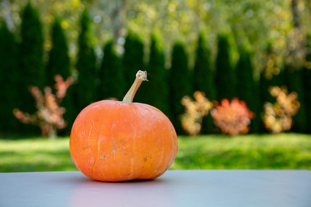 Kürbis auf Tisch mit Garten