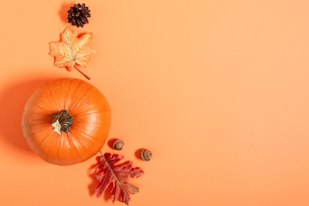 Kürbis getrocknete Blätter auf orangefarbenem Hintergrund Draufsicht Herbstliche Komposition