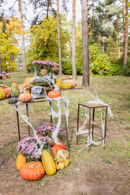 Kürbis-Halloween-Gartendekoration mit Chrysanthemen-Blumen-Spinnennetz