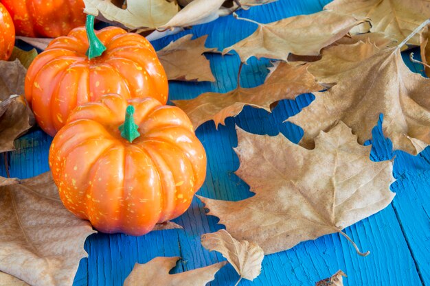 Kürbis hallowen umgeben durch trockenen herbstlaub