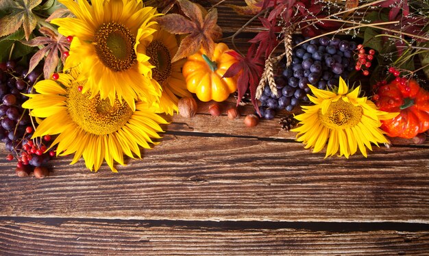 Kürbis, Herbstlaub, Traube, Sonnenblume und Beeren