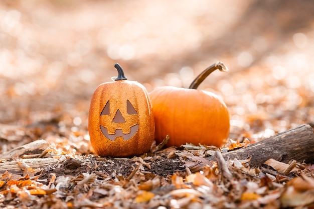 Kürbis ist ein Geist im Herbstwald. Halloween-Konzept, Platz für Text. Foto in hoher Qualität