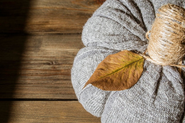 Kürbis mit eigenen Händen mit einem echten Blatt an der Spitze