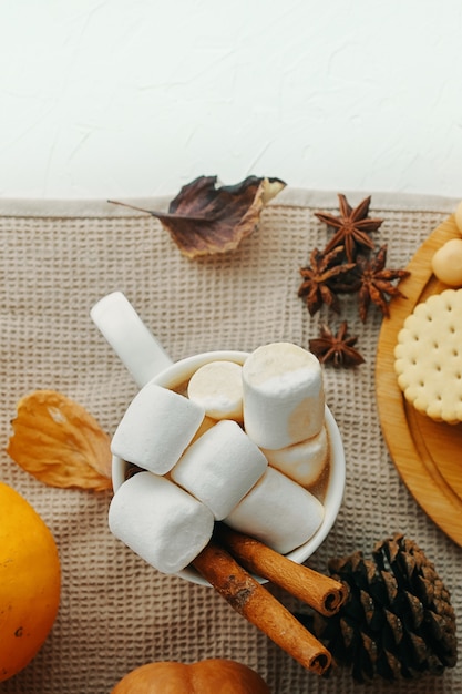 Kürbis Mit Tasse Kaffees. Heißer Kakao mit Marshmallows, Keksen, Zimt. Ansicht von oben