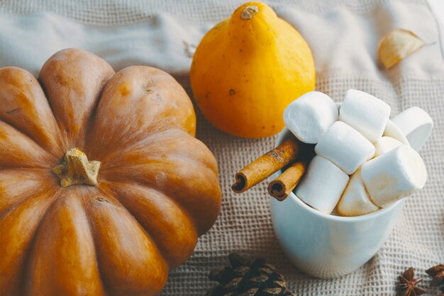 Kürbis Mit Tasse Kaffees.